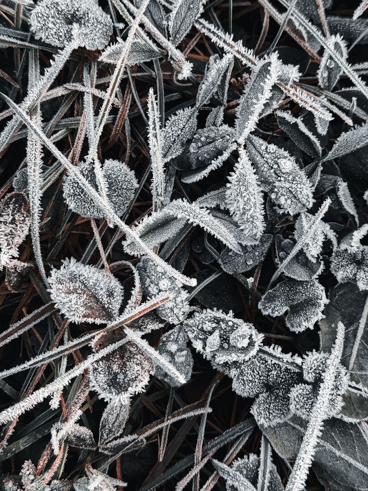 Photograph by Анна Пигулевская