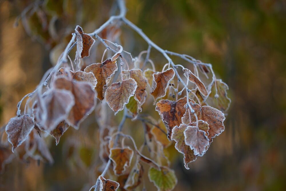 Photograph by Яна Егорова