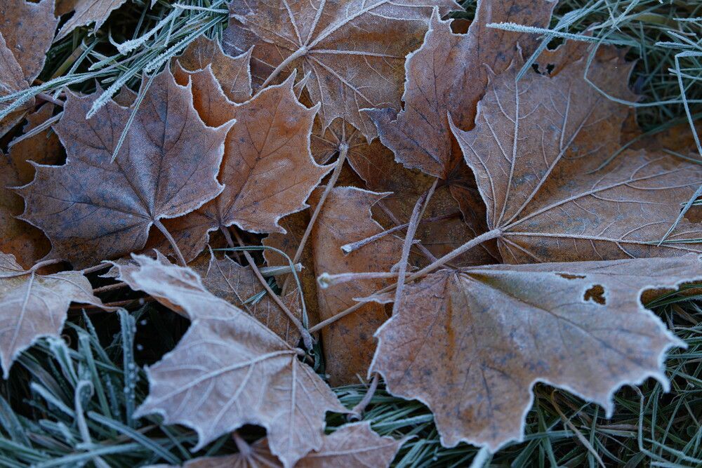 Photograph by Яна Егорова