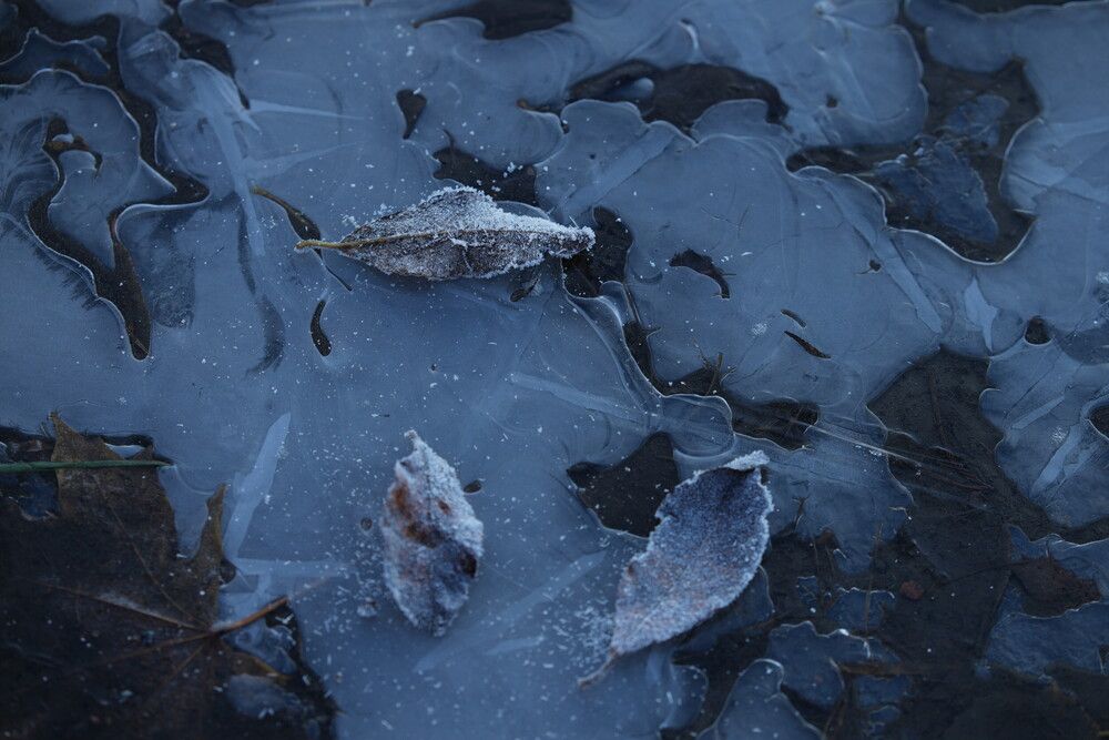 Photograph by Яна Егорова