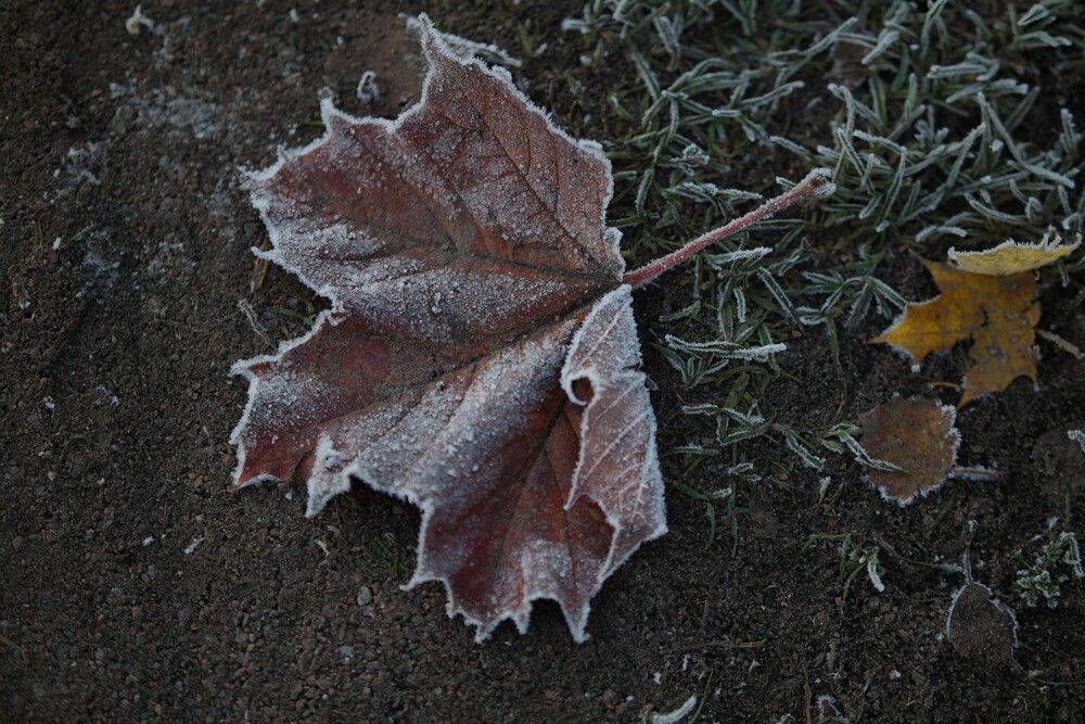 Photograph by Яна Егорова