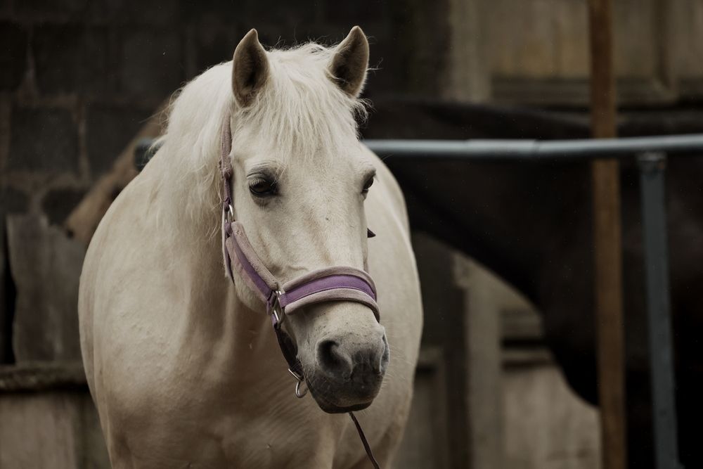 Фотография автора Яна Егорова