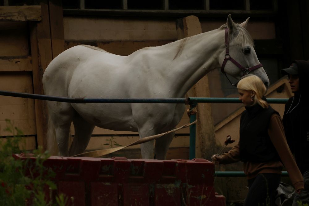 Фотография автора Яна Егорова