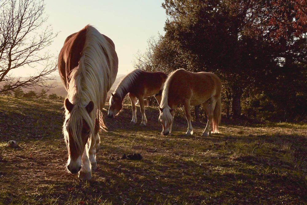 Photograph by Marina Odintsova