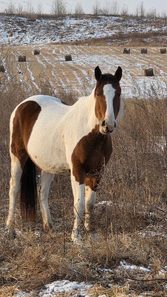 Photograph by Галина Новикова