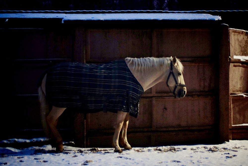 Фотография автора Яна Егорова