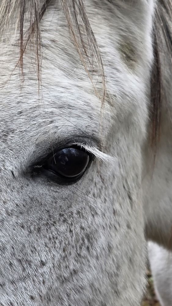 Photograph by Галина Новикова