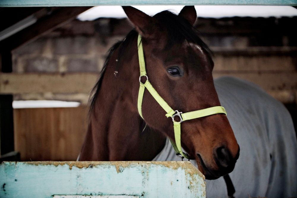 Фотография автора Яна Егорова