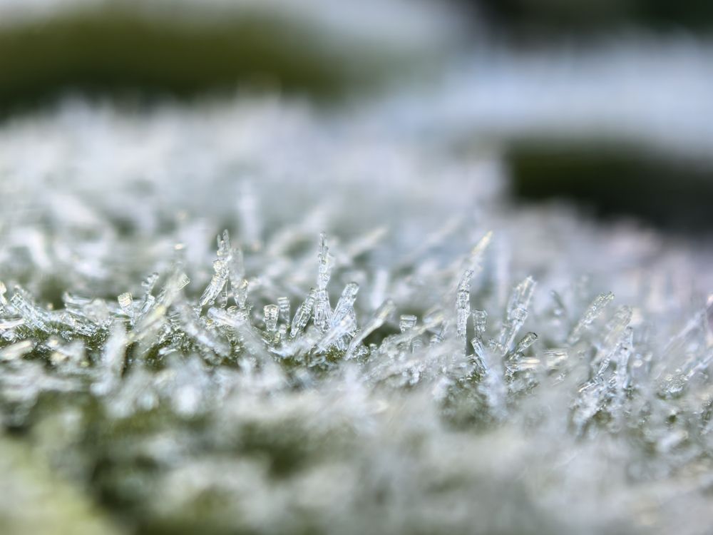 Photograph by Елена Охапкина