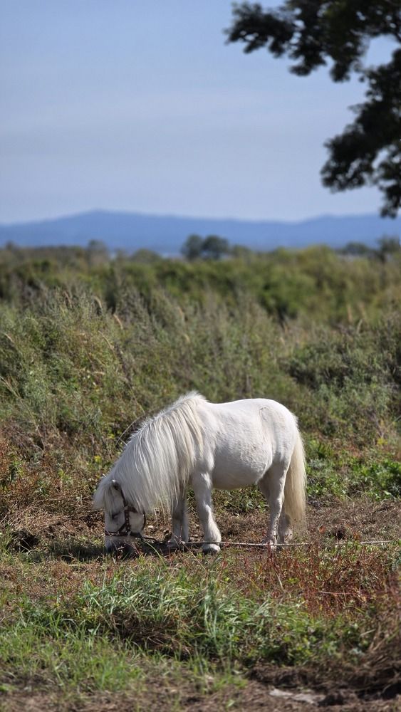 Photograph by Галина Новикова