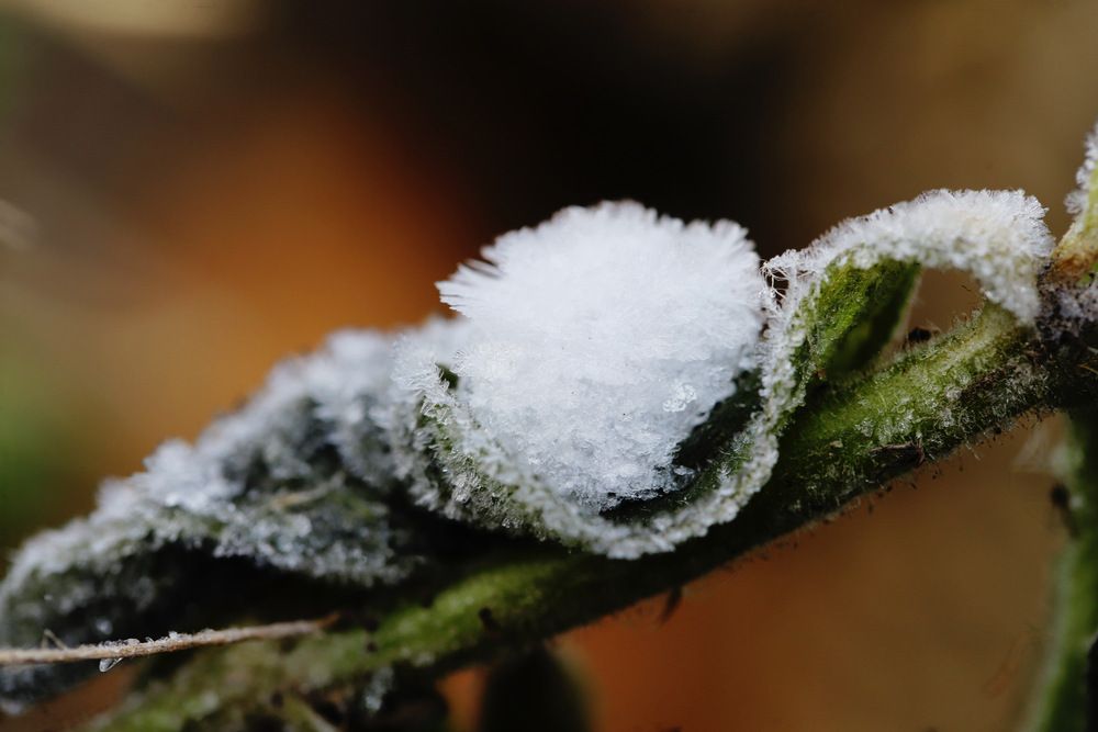 Фотография автора Татьяна Салиева