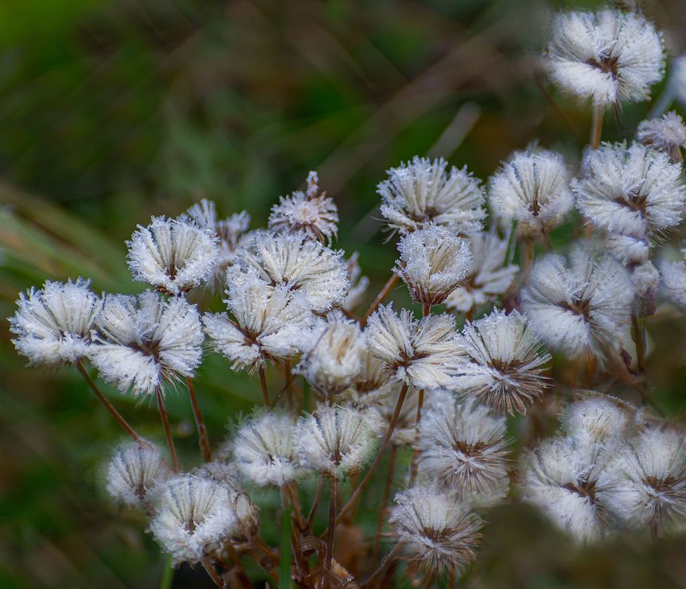 Первые признаки