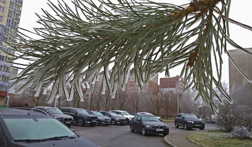 Фотография автора Антип