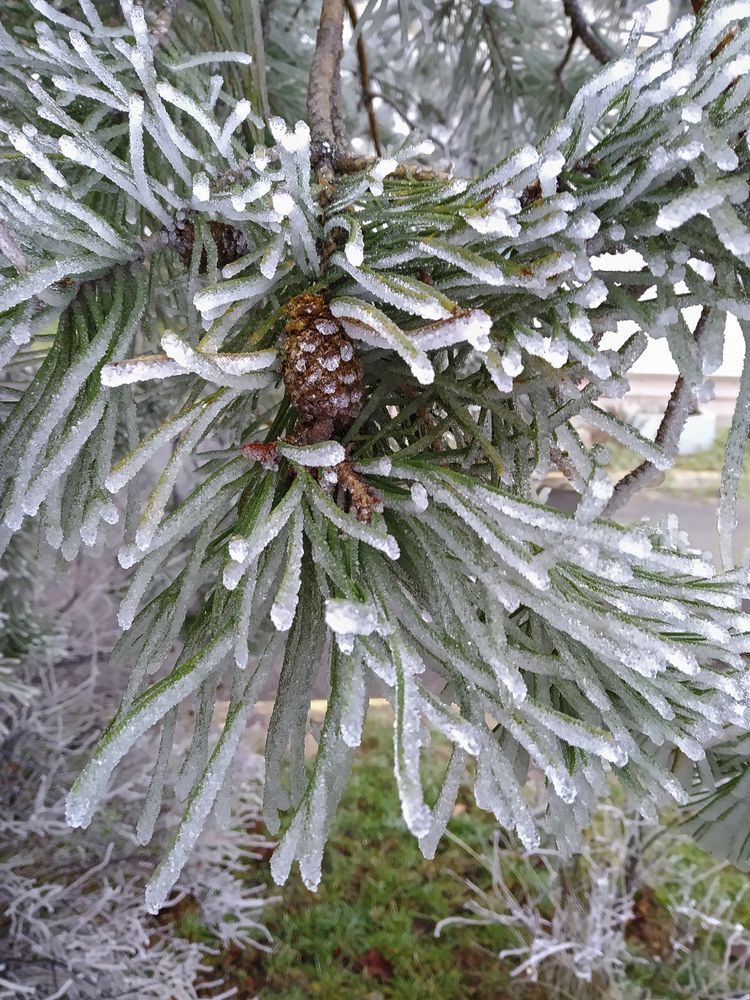 Фотография автора Антип