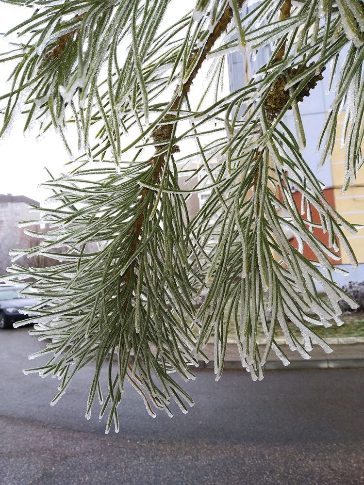 Фотография автора Антип