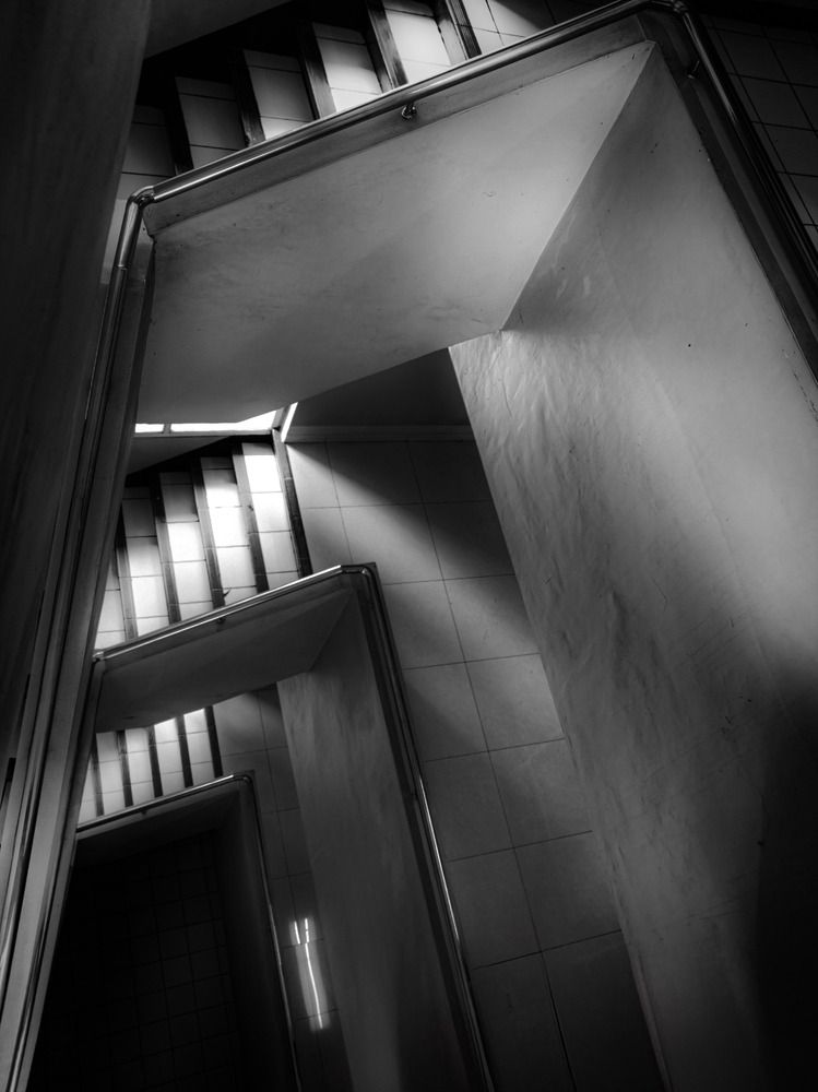 Light and shadow negotiate every step.