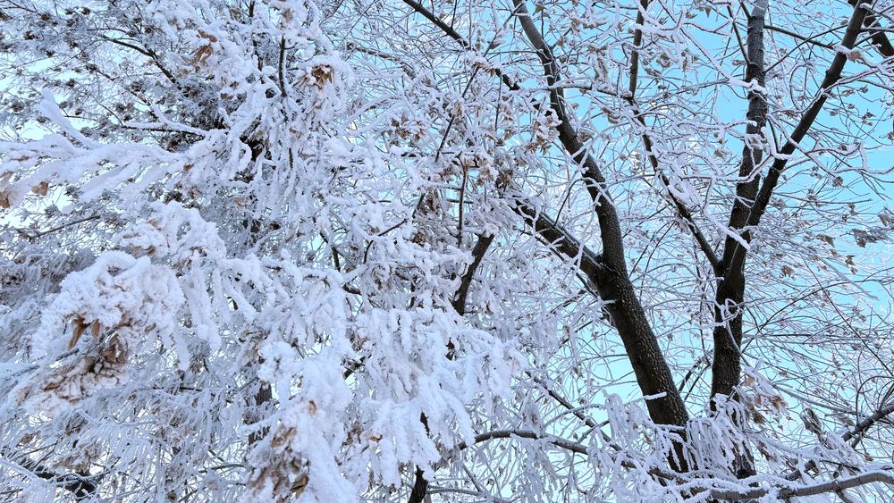 Photograph by Angelina Pirtina