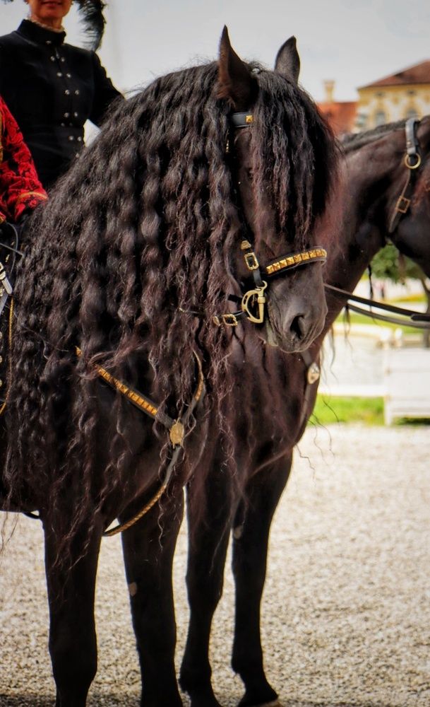 Фотография автора Марина Регенспергер