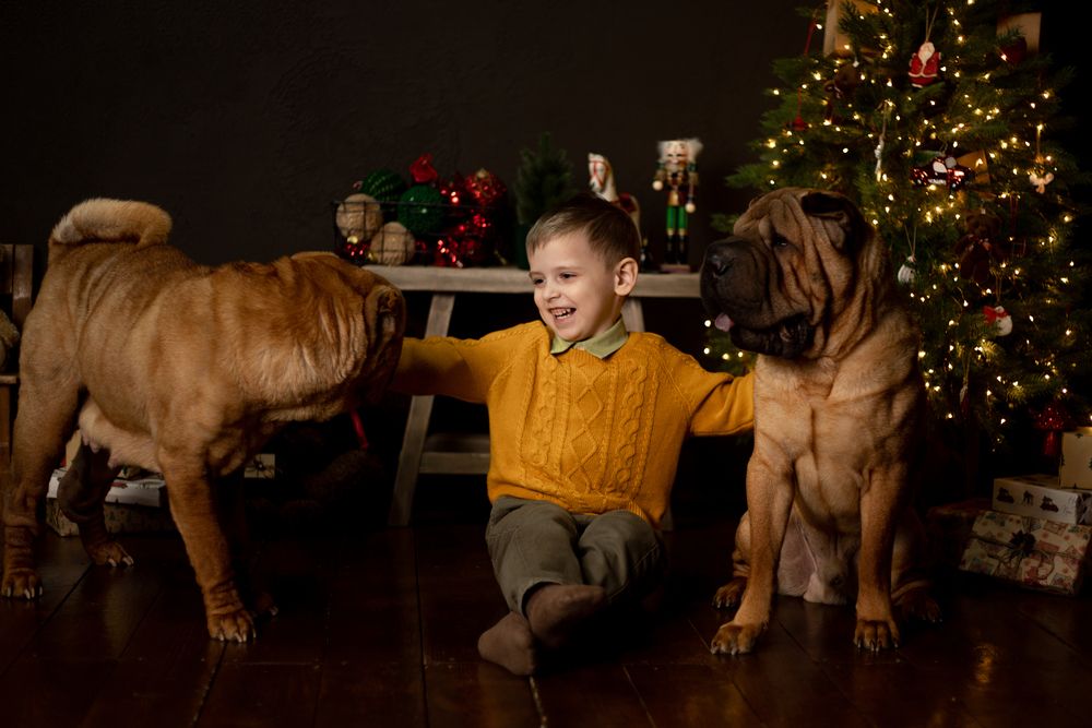 Photograph by TATYANA GRITSENKO