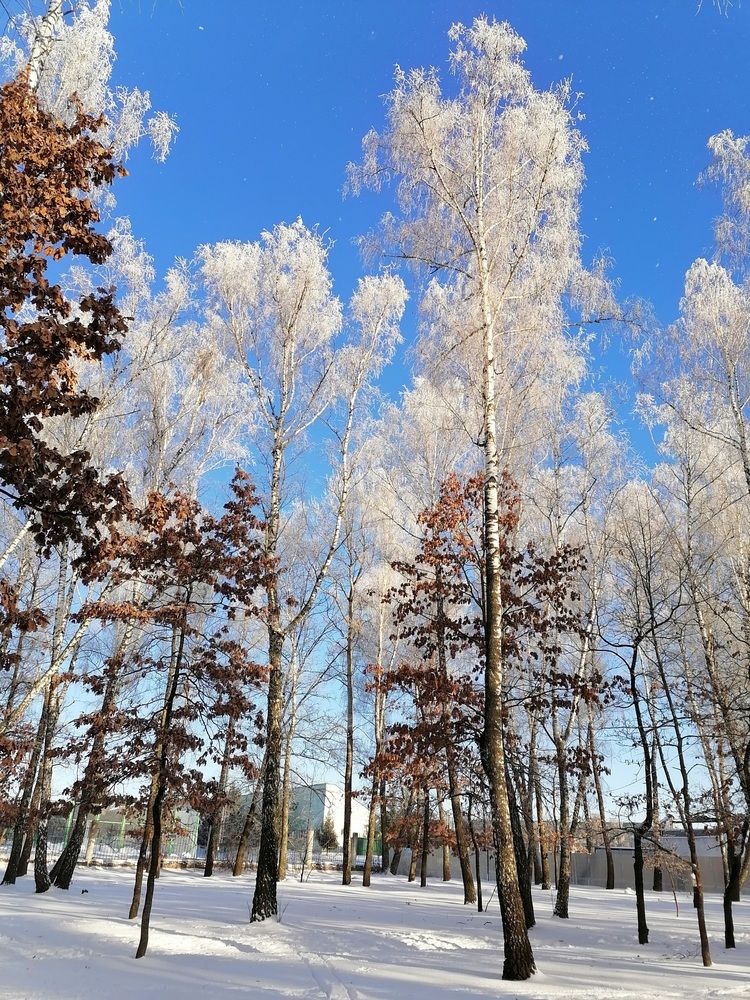 Фотография автора Анатолий Борисенко