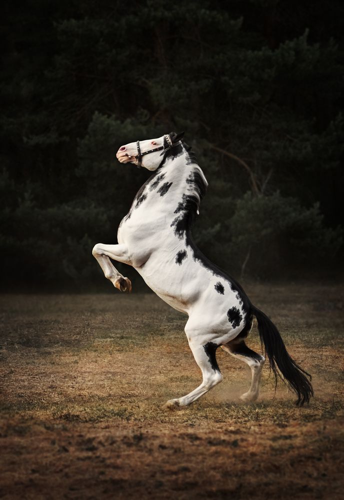 Photograph by Виктория Трущенко