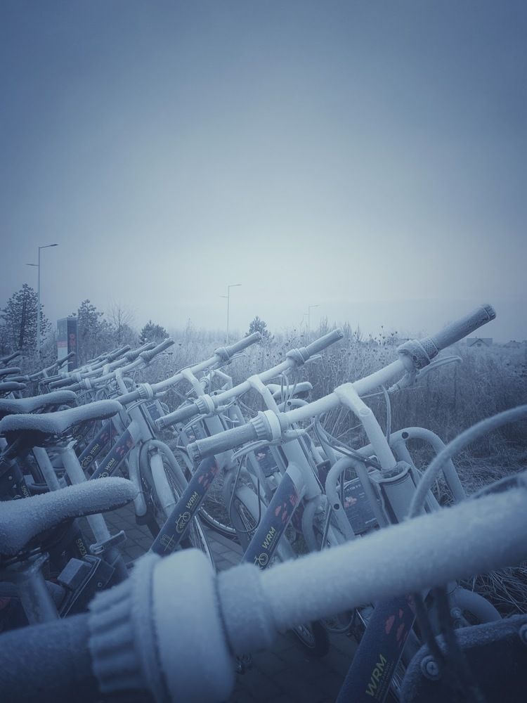 Photograph by Liliia Androsova