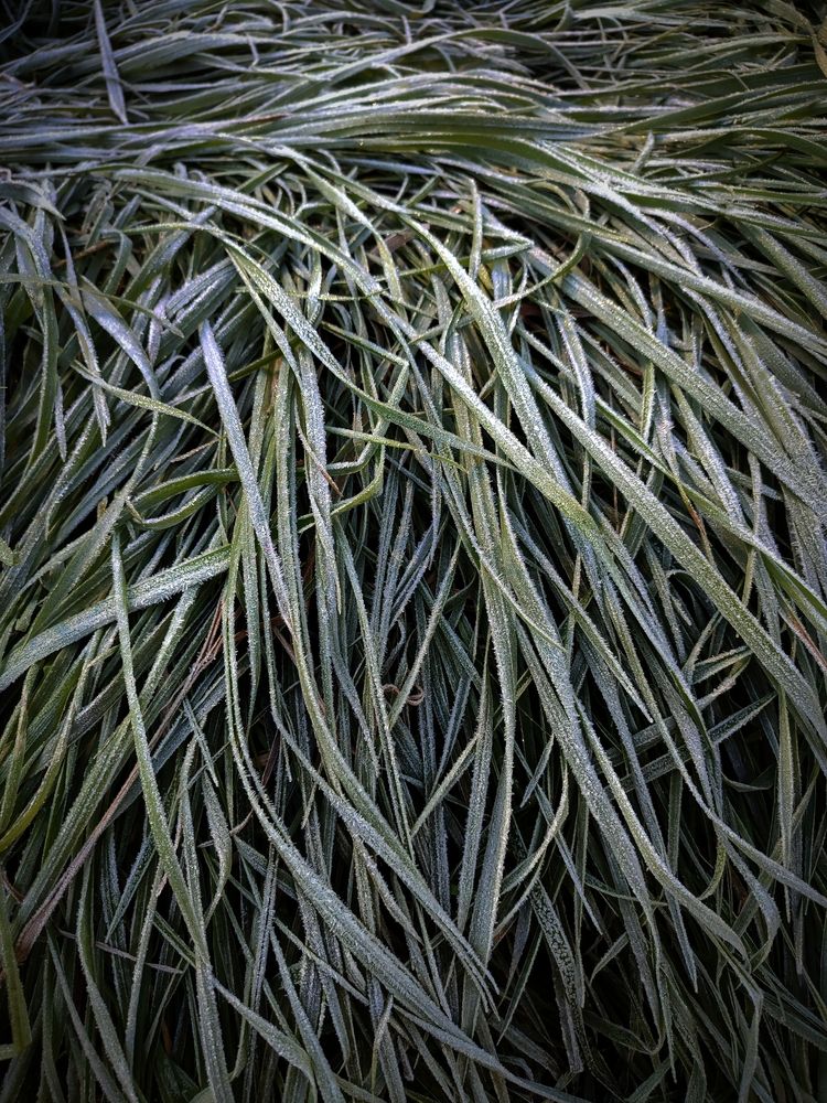 Photograph by Ирина Половцева