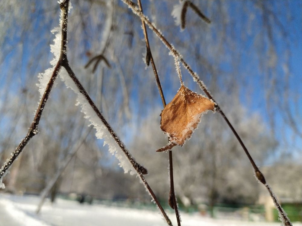 Photograph by Ирина Половцева