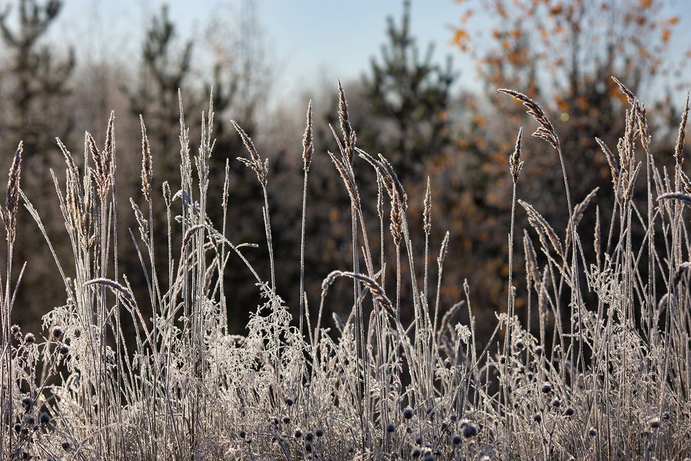 Photograph by Колтакова Наталия