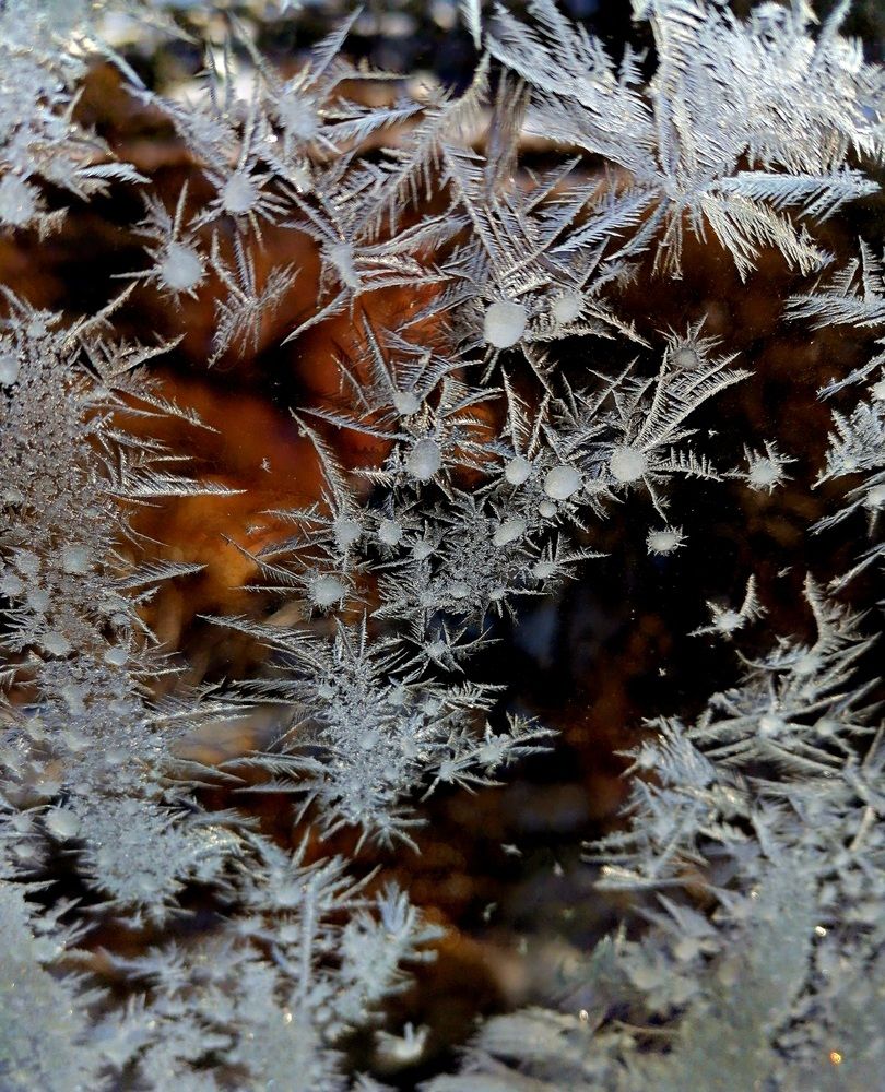 Фотография автора Анатолий Борисенко