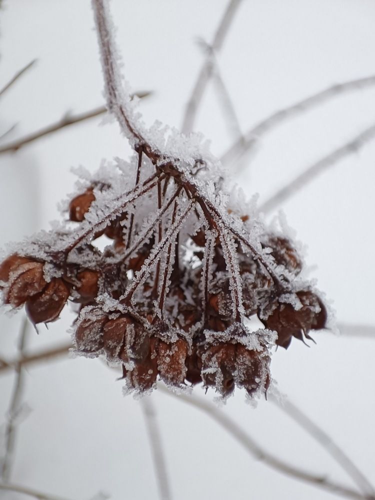 Photograph by Елена Пархоменко