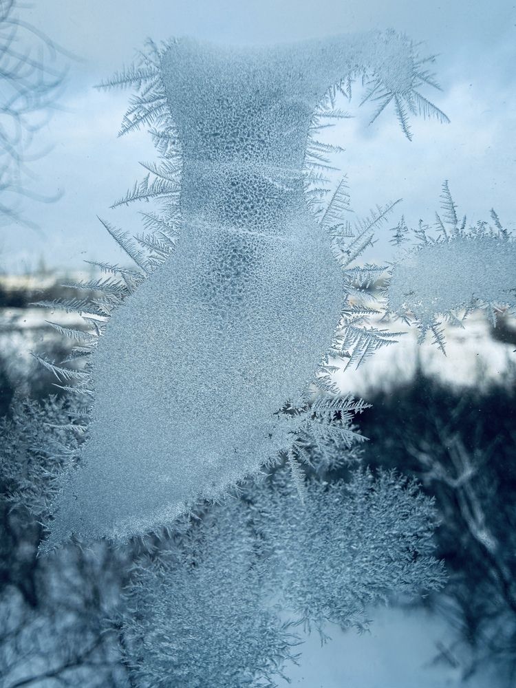 Photograph by Мария Халуторных