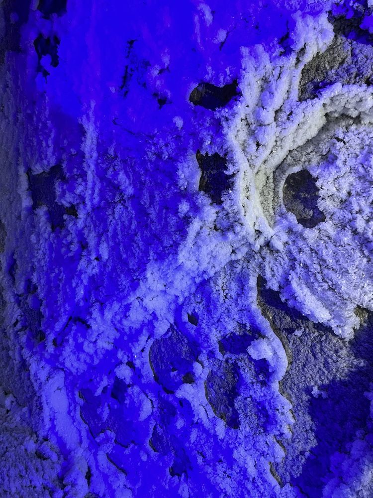 Photograph by Мария Халуторных