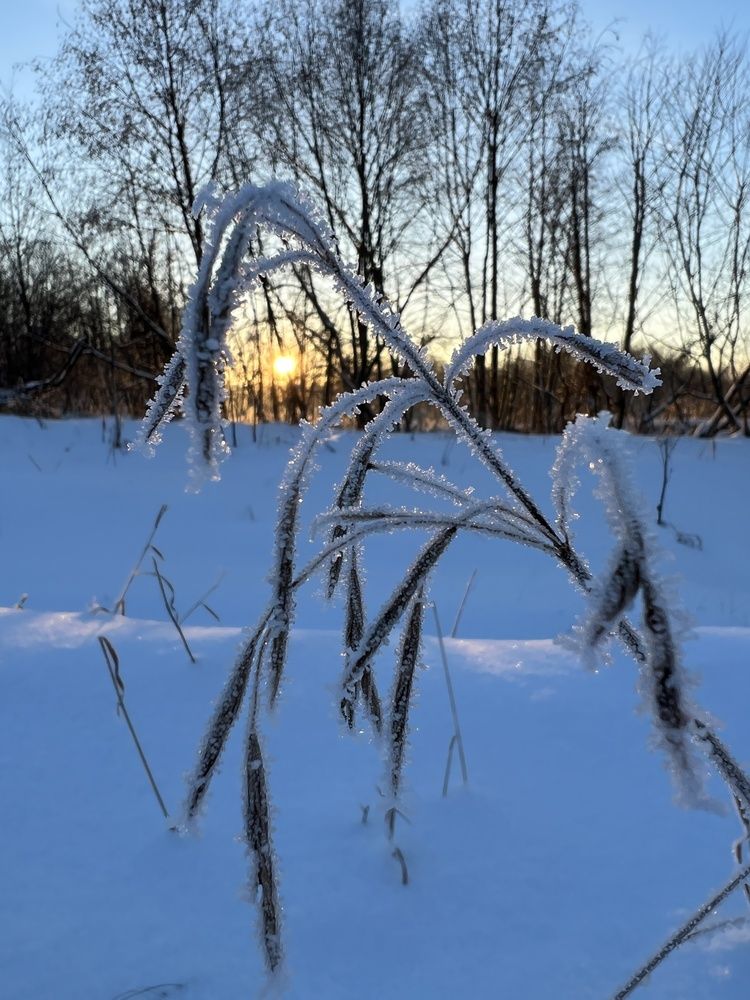 Photograph by Мария Халуторных