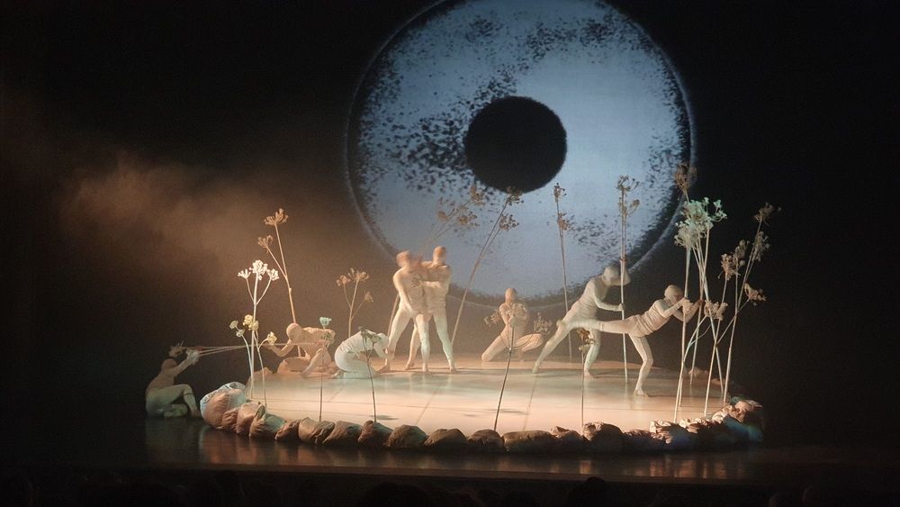 Photograph by Элеонора Бульс