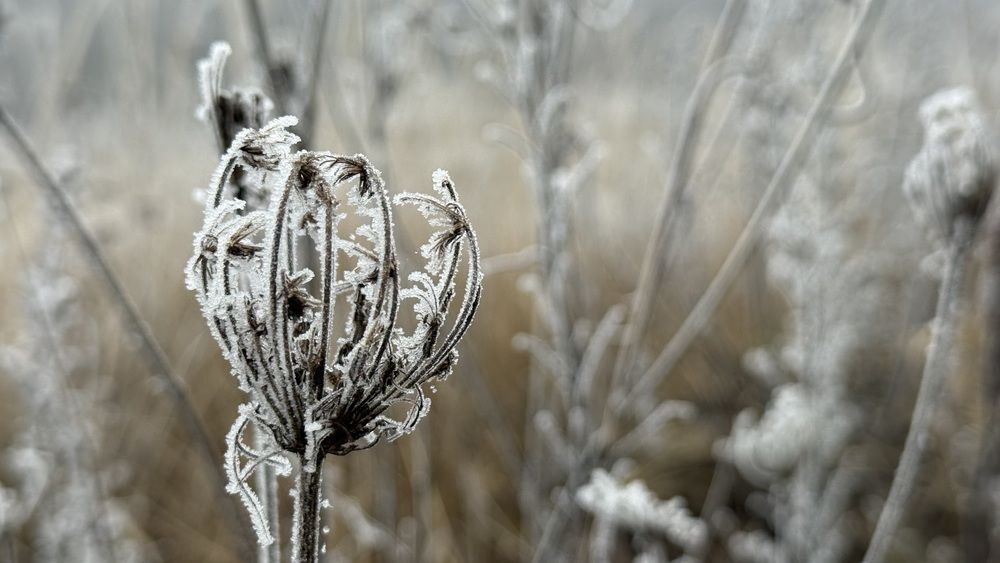 Photograph by Элеонора Бульс