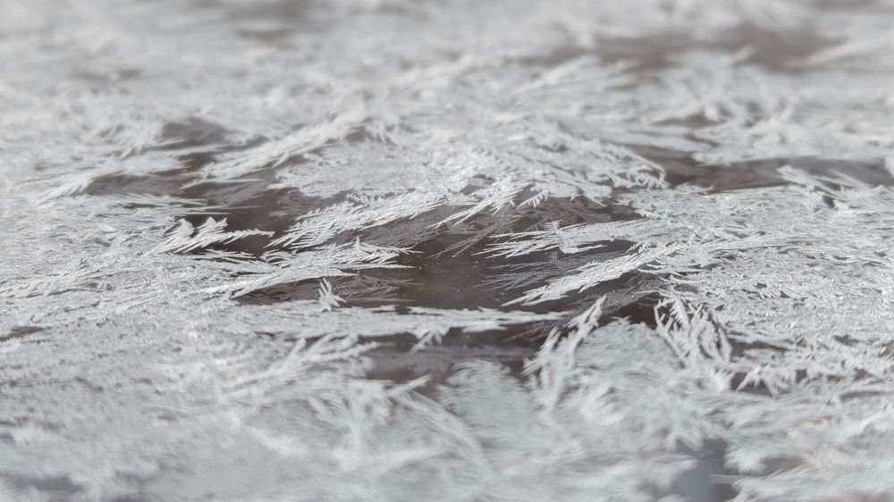 Фотография автора Юлия Стеценко