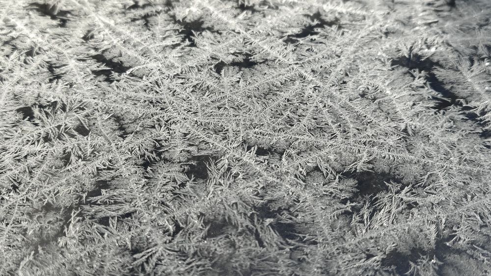 Фотография автора Юлия Стеценко