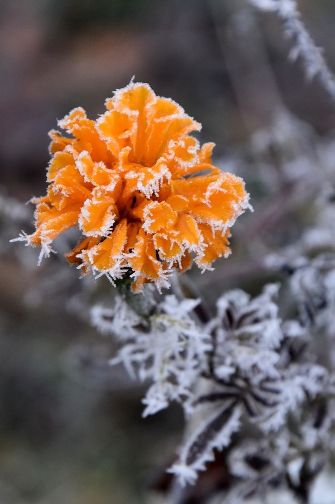 Photograph by Dimon Grinih