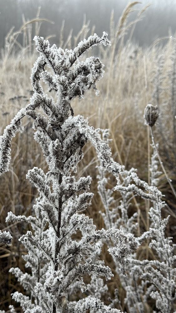 Photograph by Элеонора Бульс
