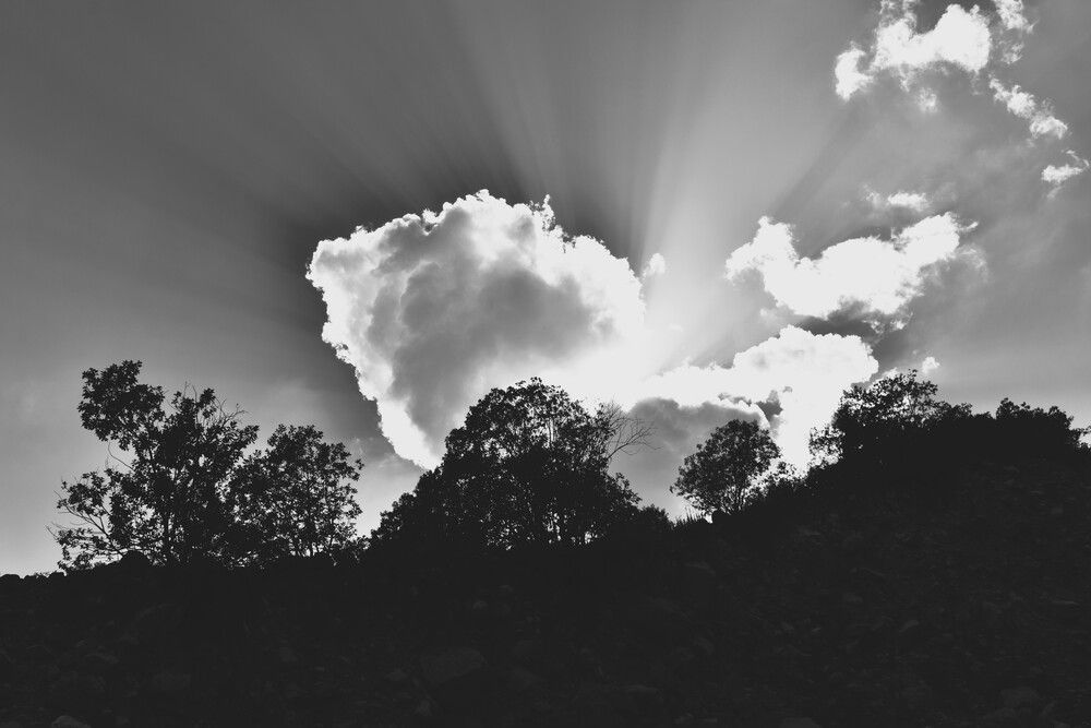 Photograph by Марина