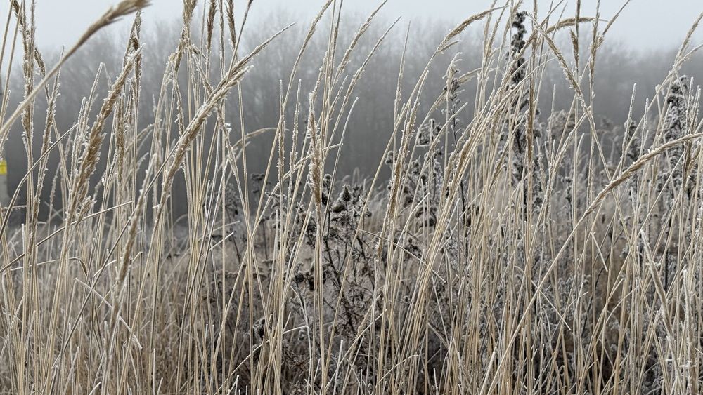 Photograph by Элеонора Бульс