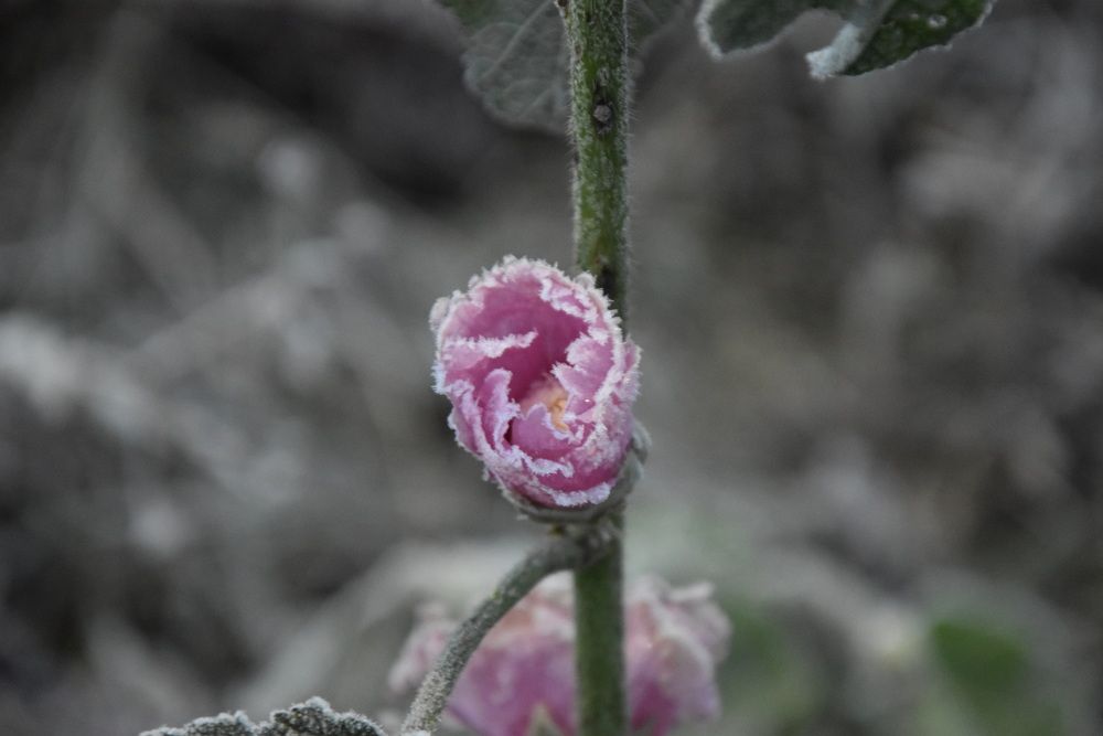 Photograph by Dimon Grinih