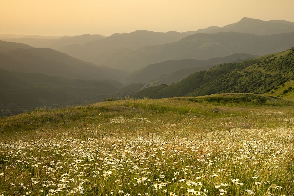 Photograph by Esmaeil rashedi