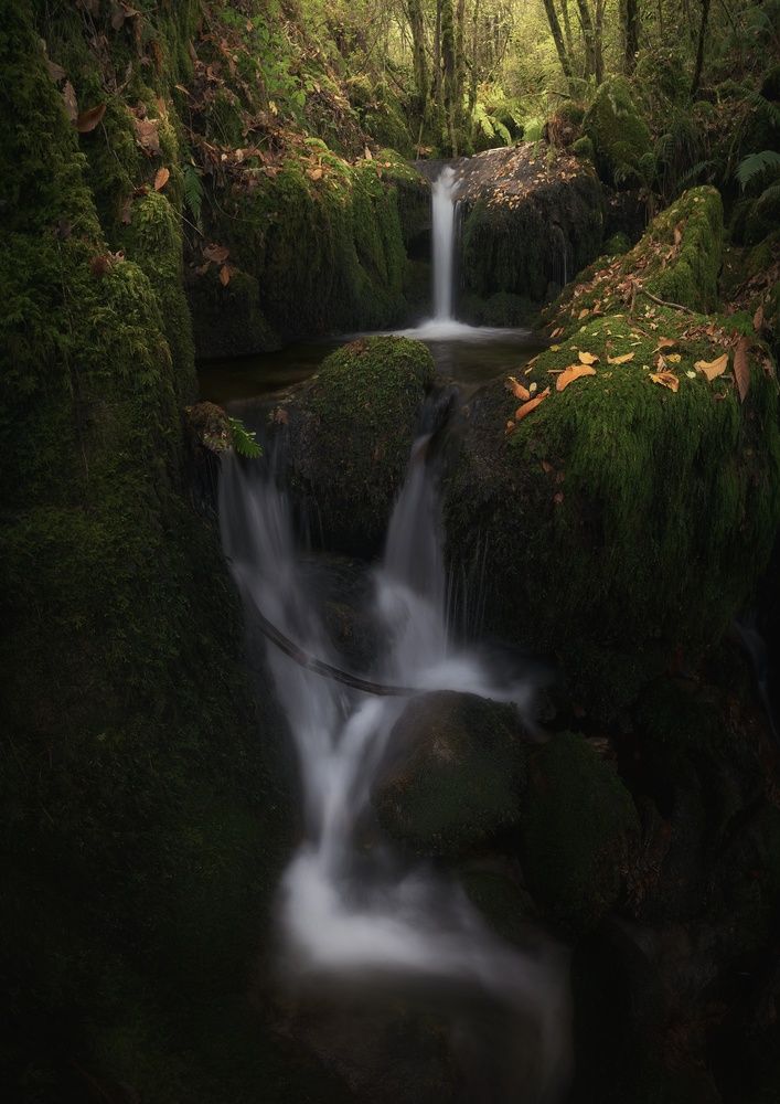 Фотография автора Miguel Iglesias