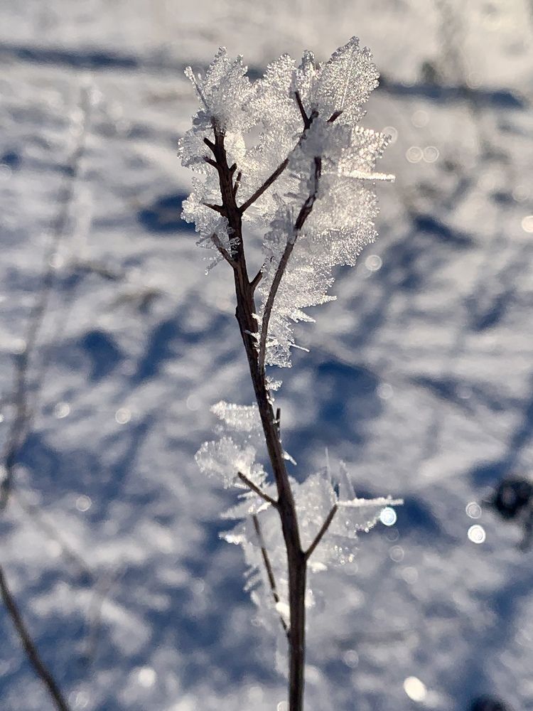 Photograph by Елена Смирнова