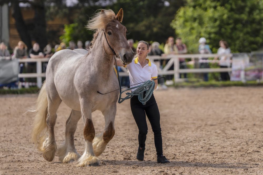 Photograph by Дейнекина Галина