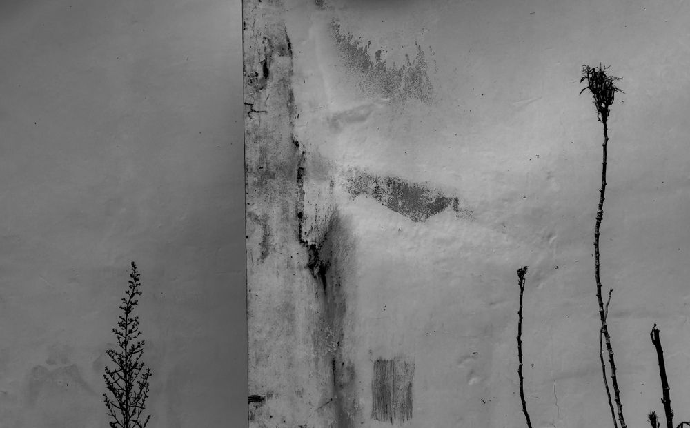 the wall does not explain