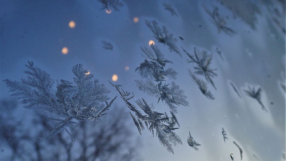 В отражении звезд