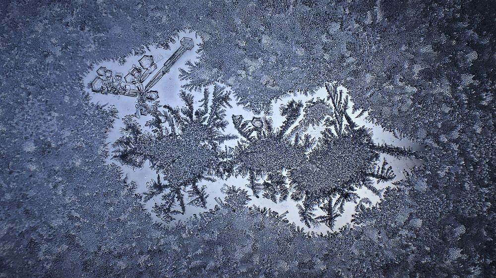 Морозные мультяшки